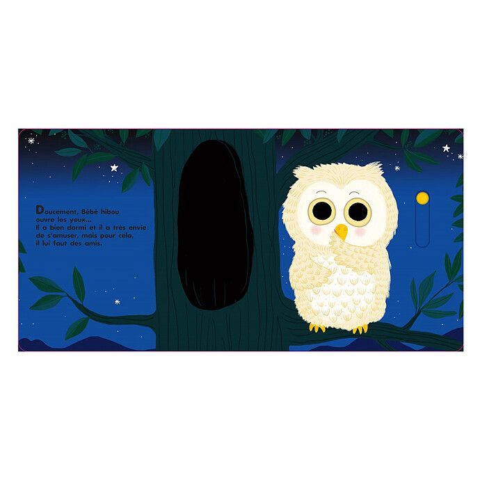 Au Dodo ! Bébé Hibou n'a Pas Sommeil du Tout (Nathan Editions) - Image 1