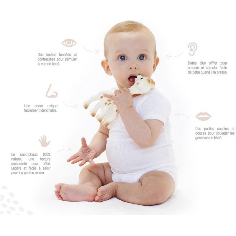 Sophie la girafe (Sophie la girafe) - Image 3