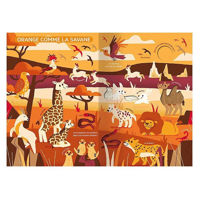 Mon Très Grand Livre d'Eveil - Le Monde des Couleurs (Auzou) - Image 1