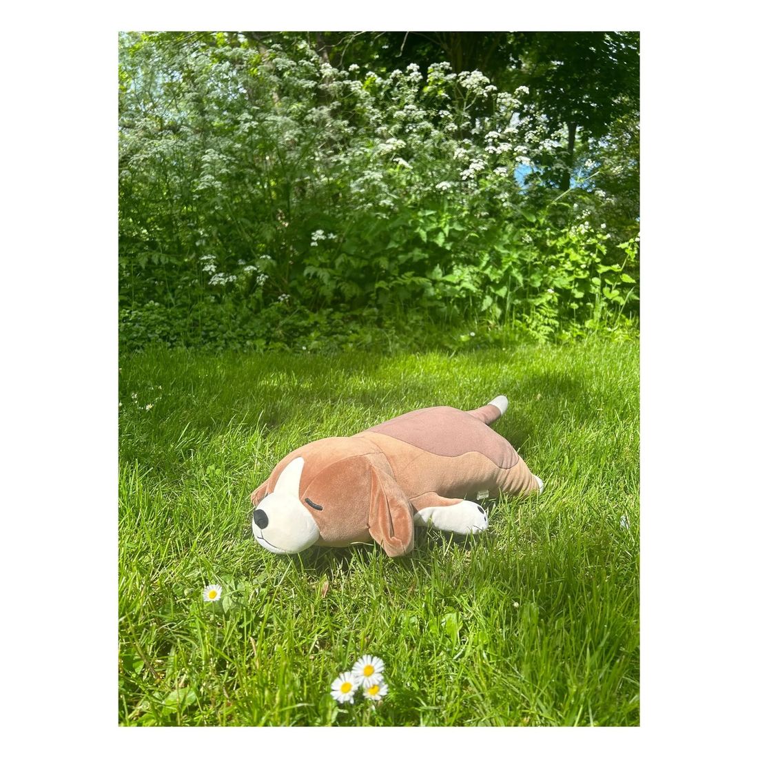 Nemu Nemu - Peluche Vick le Chien Beagle (Nemu Nemu) - Image 1