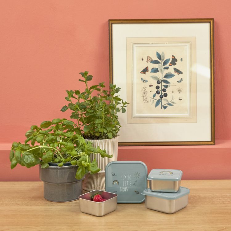 Lot de 3 boîtes à goûter Garden Explorer (Lassig) - Image 5