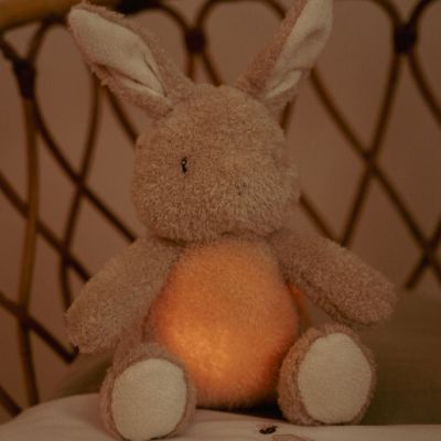 Peluche musicale et lumineuse Lapin Newborn (Little Dutch) - Image 2