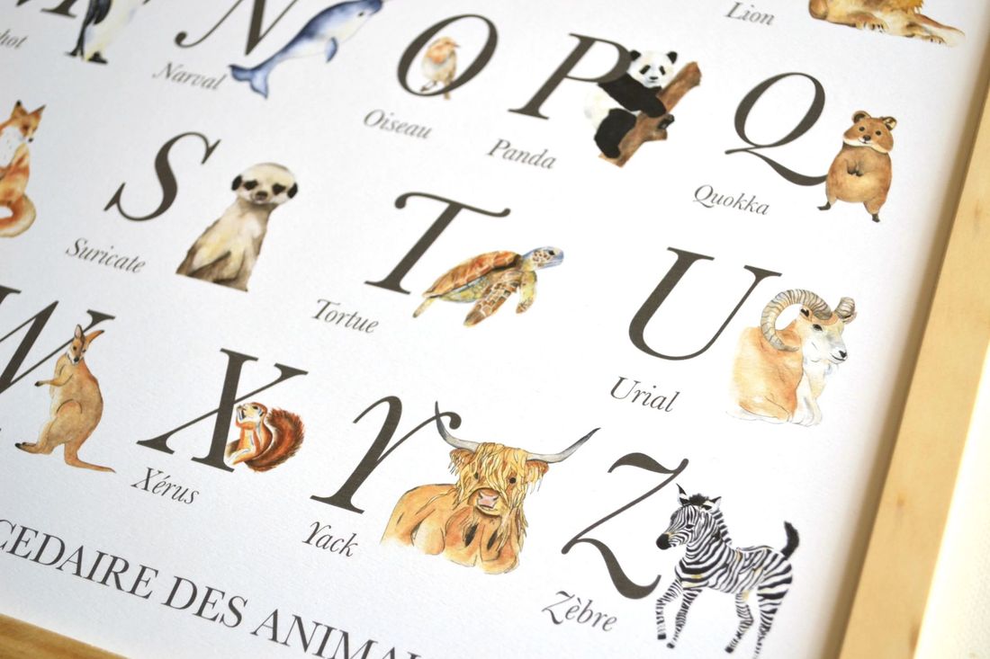 Abécédaire des animaux aquarelle, affiche éducative pour chambre bébé et enfant (Les Aquarelles de Marlène) - Image 6