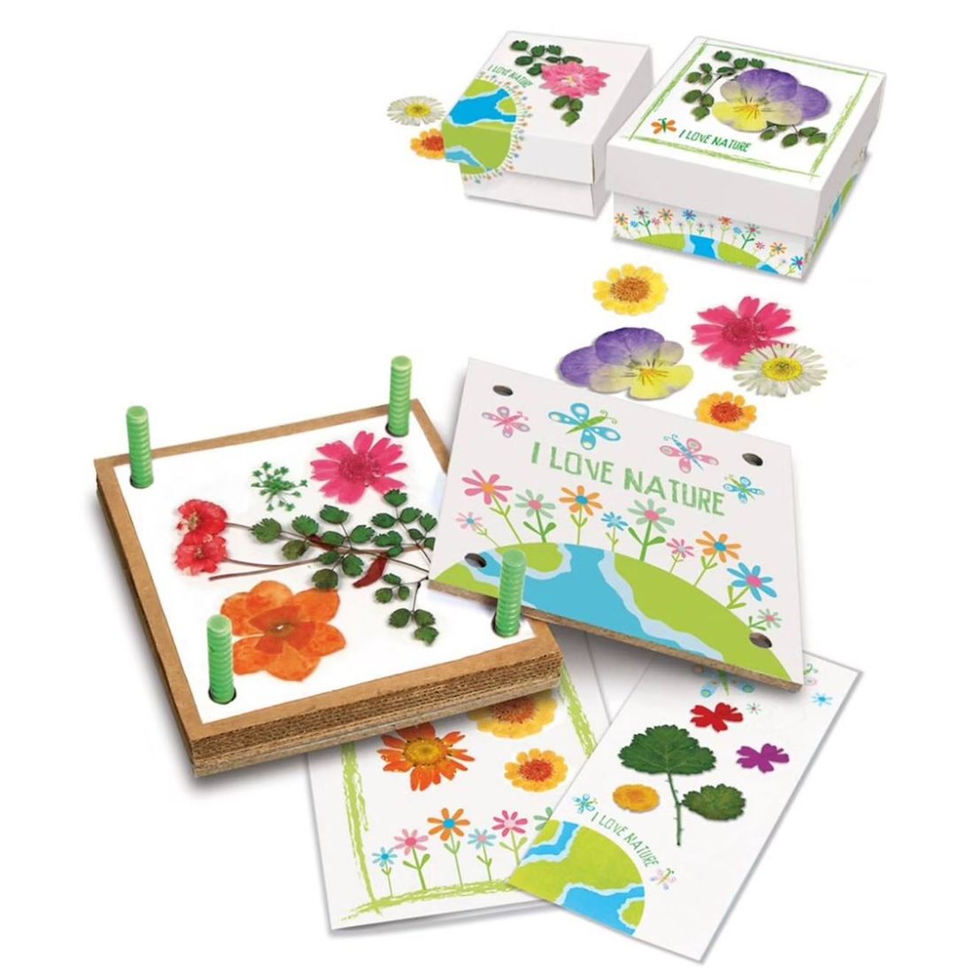 Kit D’artisanat Inspiré De La Nature – Fleurs Pressées Faciles À Réaliser Multicolor (4M) - Image 1
