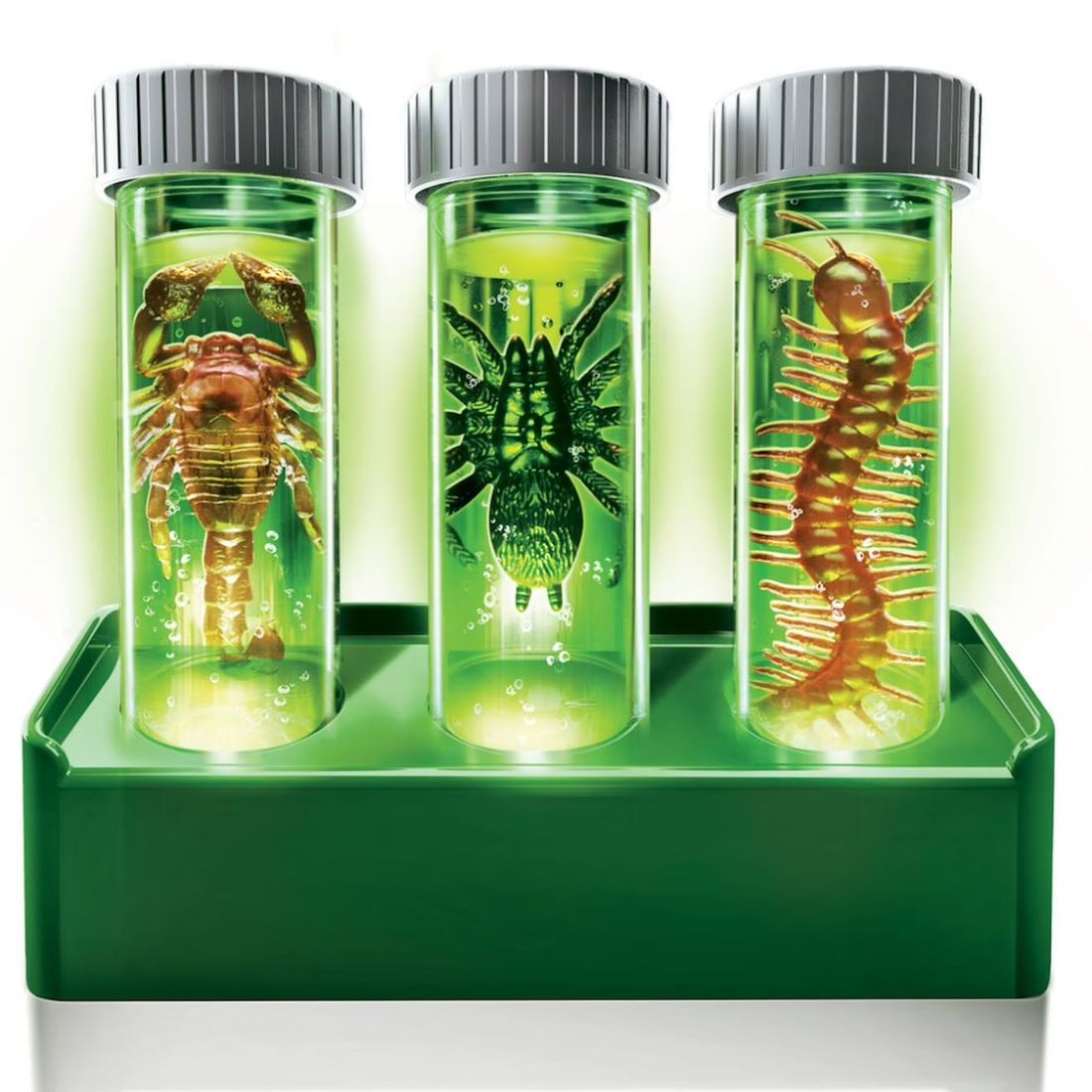Kit Insectes Phosphorescents – Entre Science, Magie Et Veilleuse Multicolor (4M) - Image 1