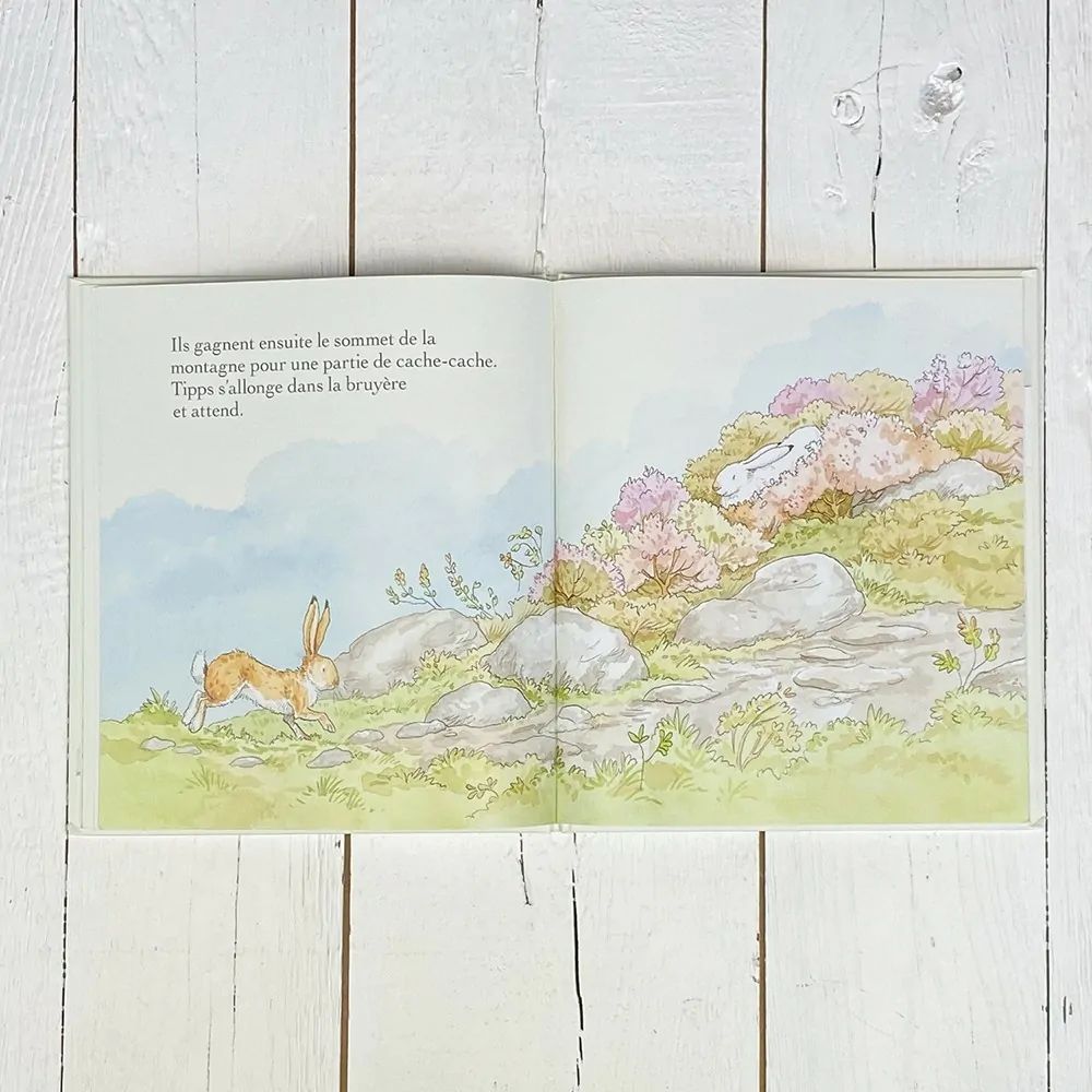 Livre Veux-tu être mon ami (Petit Picotin) - Image 5