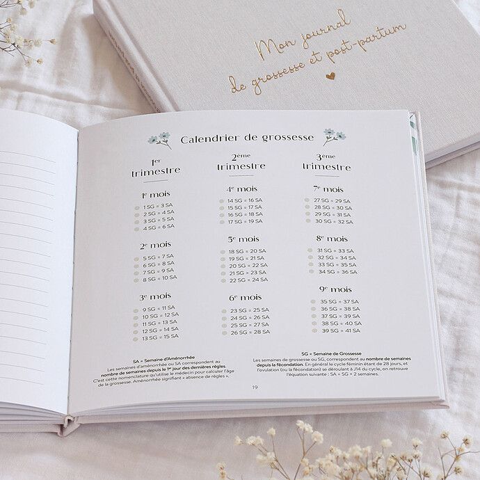 Journal de Grossesse et Post-partum (Zü) - Image 5