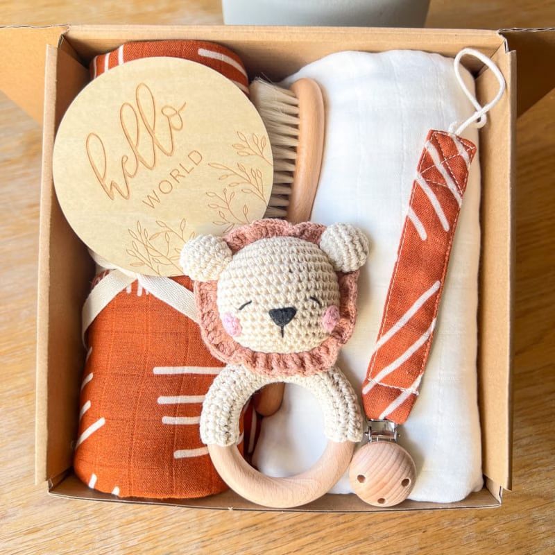 Coffret de naissance bébé lion (A Mes Copines) - Couverture