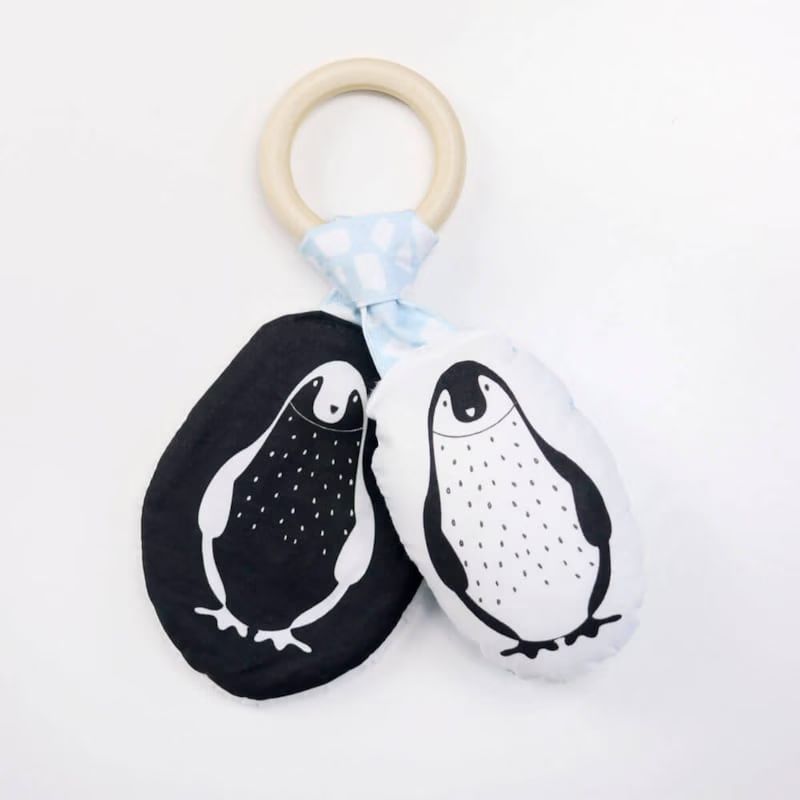 Hochet anneau d'activités pingouin (Petit Bloom) - Couverture