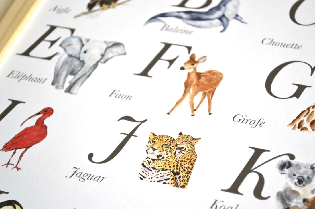 Abécédaire des animaux aquarelle, affiche éducative pour chambre bébé et enfant (Les Aquarelles de Marlène) - Image 4