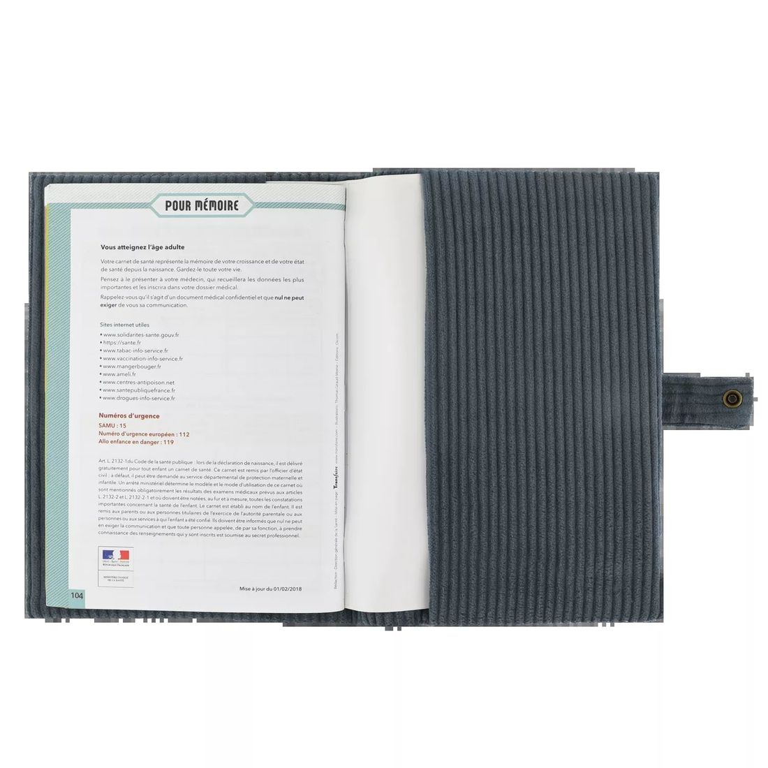 Barnabé le protège carnet de santé velours (Petit Picotin) - Image 4