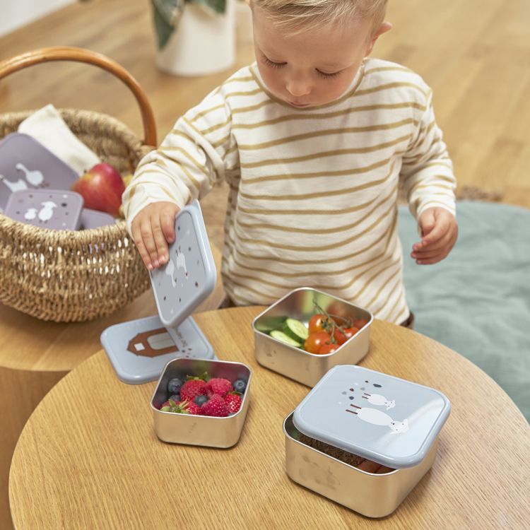 Lot de 3 boîtes à goûter Tiny Farmer bleu (Lassig) - Image 2