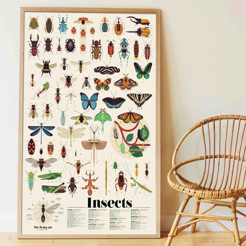Poster géant 44 stickers insectes (Poppik) - Couverture