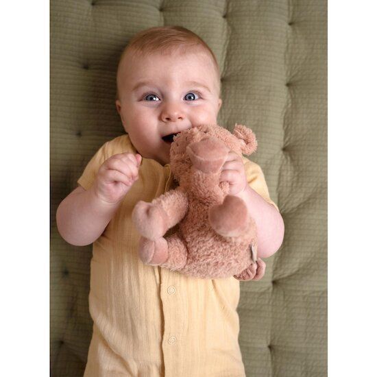 Little Farm Peluche Cochon (Little Dutch) - Couverture