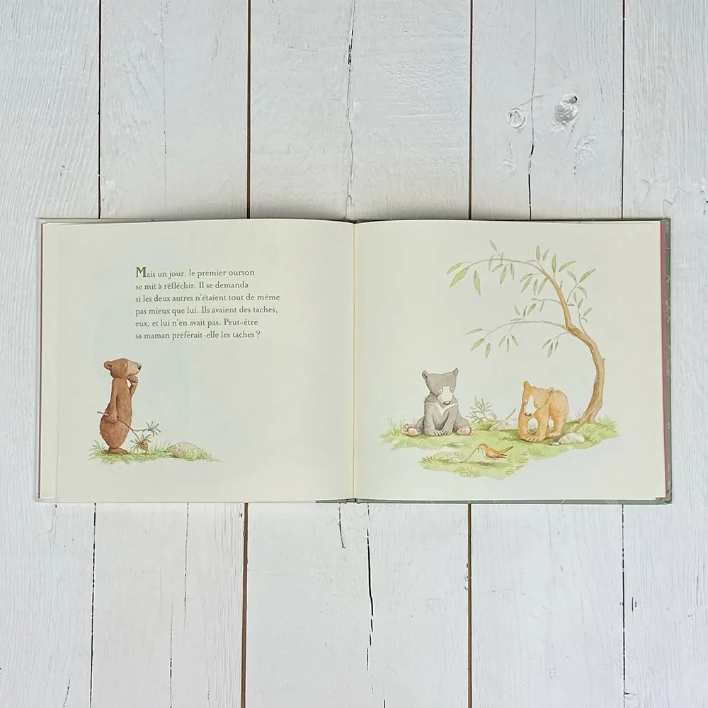 Livre Vous êtes tous mes préférés (Petit Picotin) - Image 5