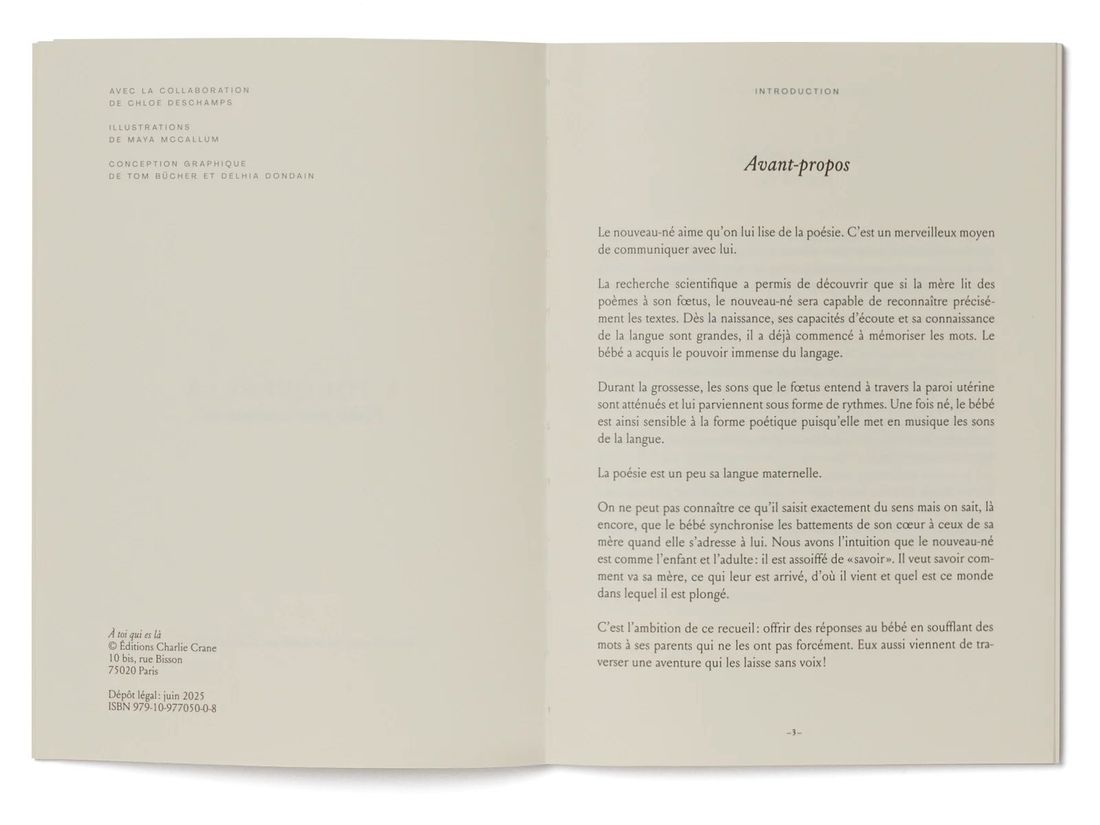 Recueil de poésie À toi qui es là (Charlie Crane) - Image 6