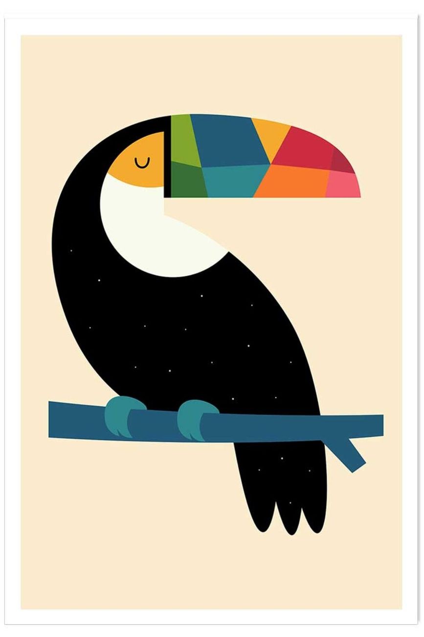 Affiche toucan sans cadre 40x60 cm (Hexoa) - Couverture
