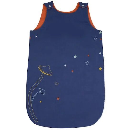 Gigoteuse (L'oiseau bateau) - Couverture