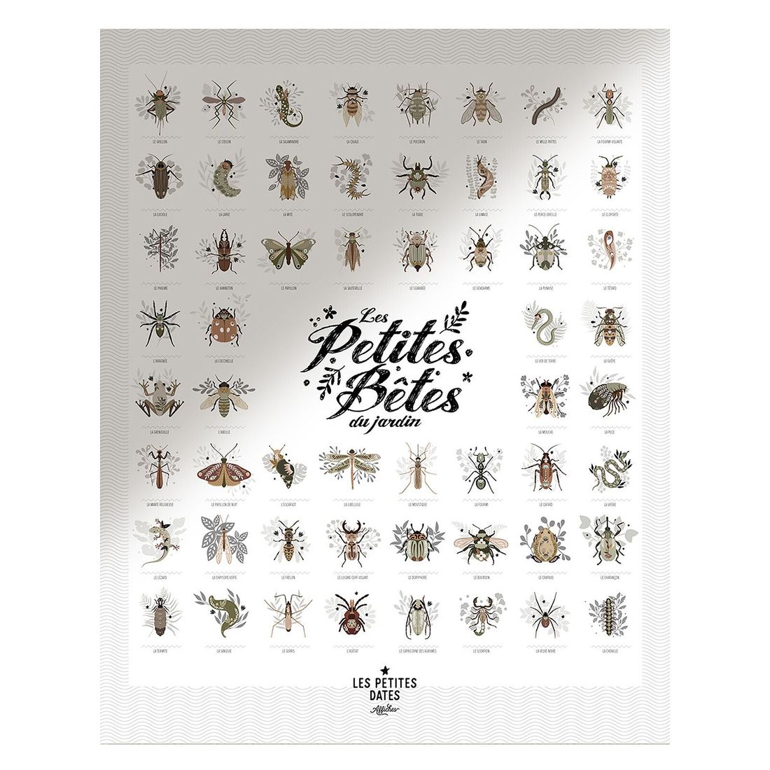 Affiche Les Petites Bêtes du Jardin - 50 x 40 cm (Les Petites Dates) - Image 1