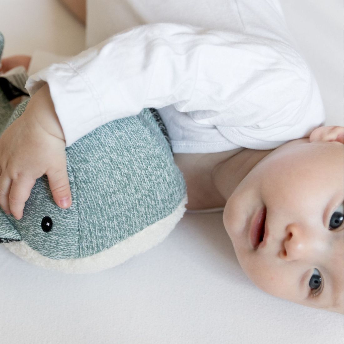 Peluche bruit blanc rechargeable baleine Moby vert (FLOW) - Image 4