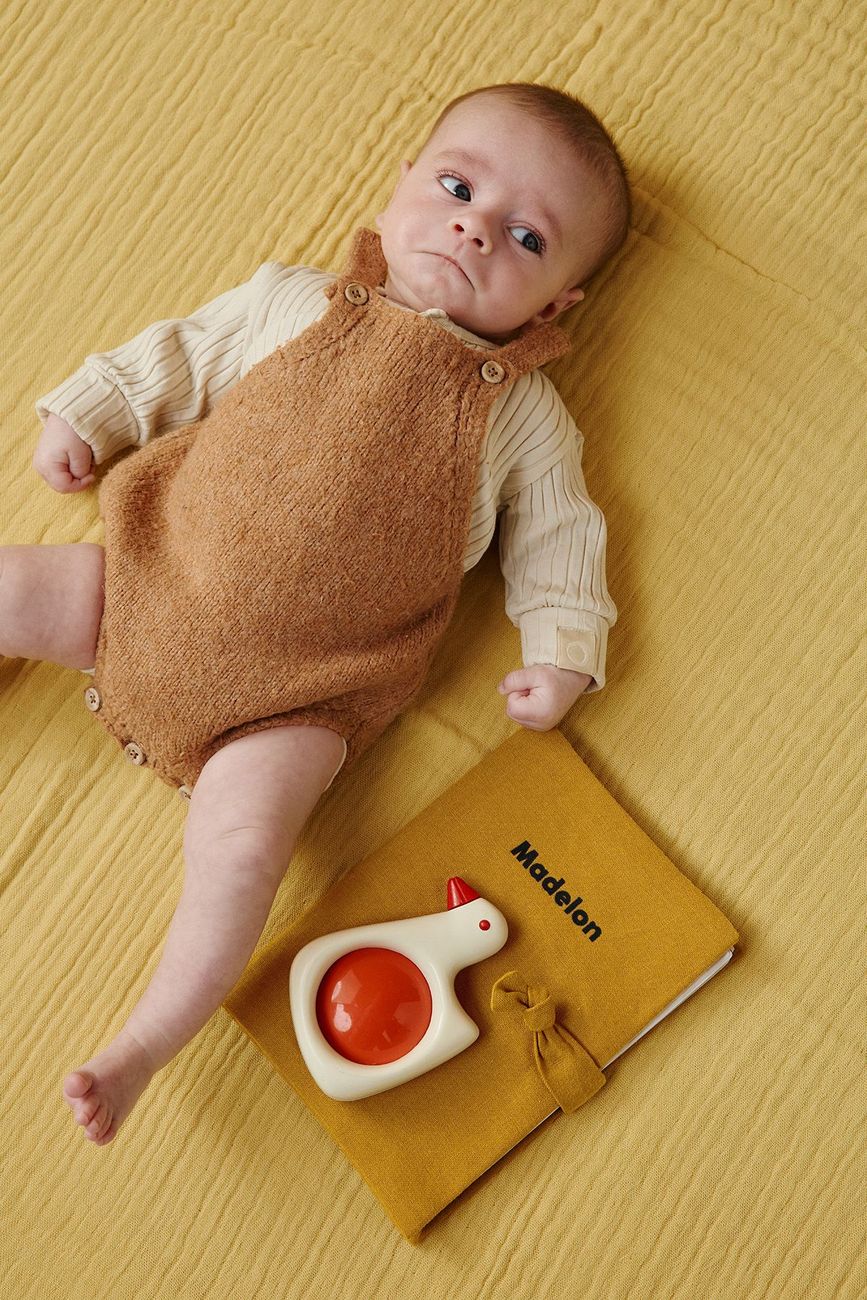 Barnabé le protège carnet de santé (Petit Picotin) - Image 2
