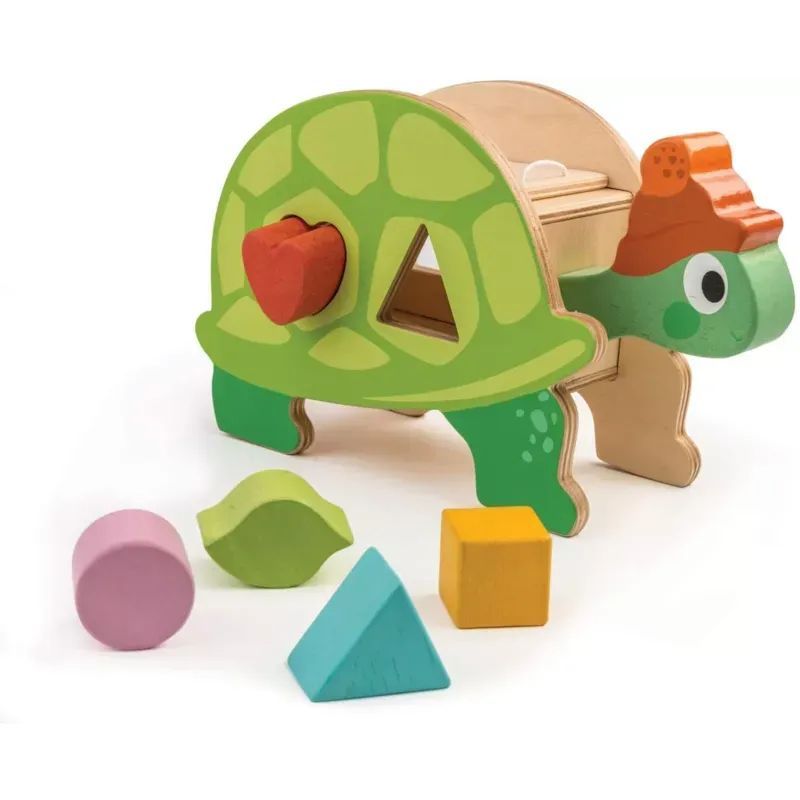 Boîte à formes tortue (Tender Leaf Toys) - Couverture