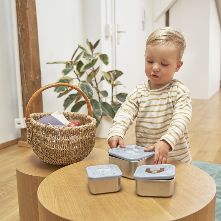 Lot de 3 boîtes à goûter Tiny Farmer bleu (Lassig) - Image 6