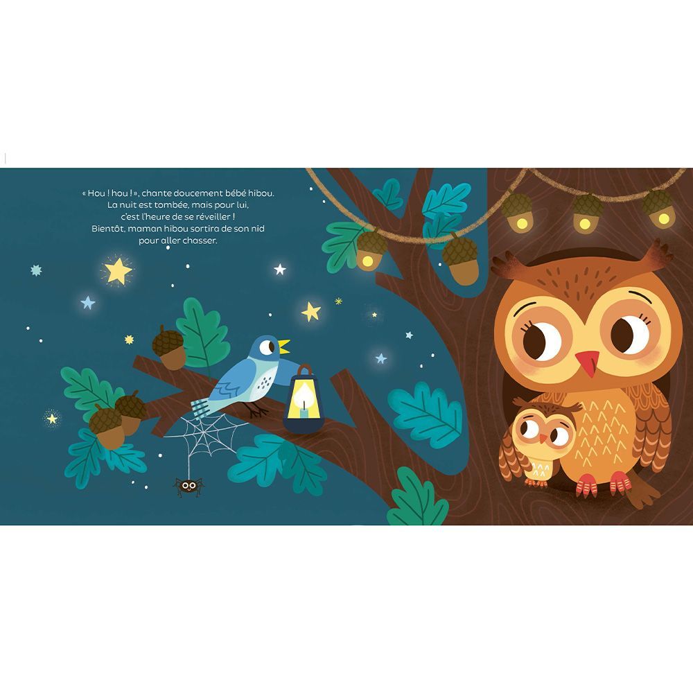 Mon livre son et lumière, Bonne nuit ! (Larousse) - Image 3