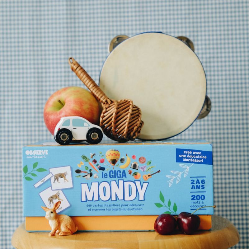 Giga mondy, 600 cartes montessori (Observe Montessori) - Image 1