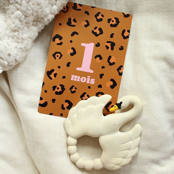 Cartes Etapes - Mes 12 Premiers Mois (Ma petite vie) - Image 1
