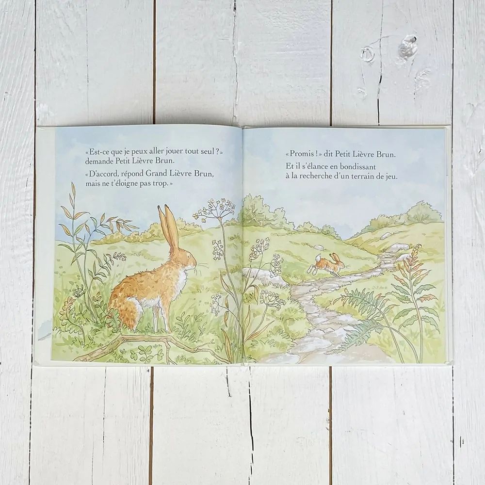 Livre Veux-tu être mon ami (Petit Picotin) - Image 3