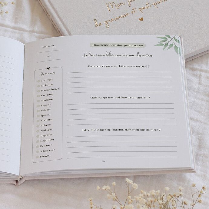 Journal de Grossesse et Post-partum (Zü) - Image 7