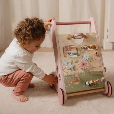 Chariot de marche FSC Fairy Garden (Little Dutch) - Image 2