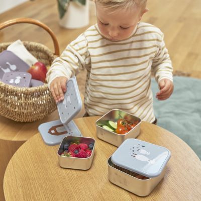 Lot de 3 boîtes à goûter Tiny Farmer bleu (Lassig) - Image 3