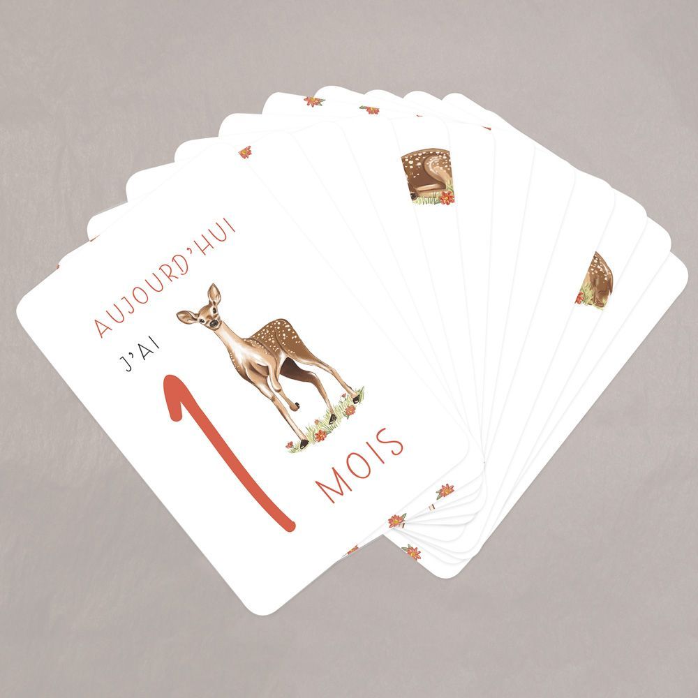 Cartes étapes bébé Bichette (Le Faire-Part Français) - Couverture