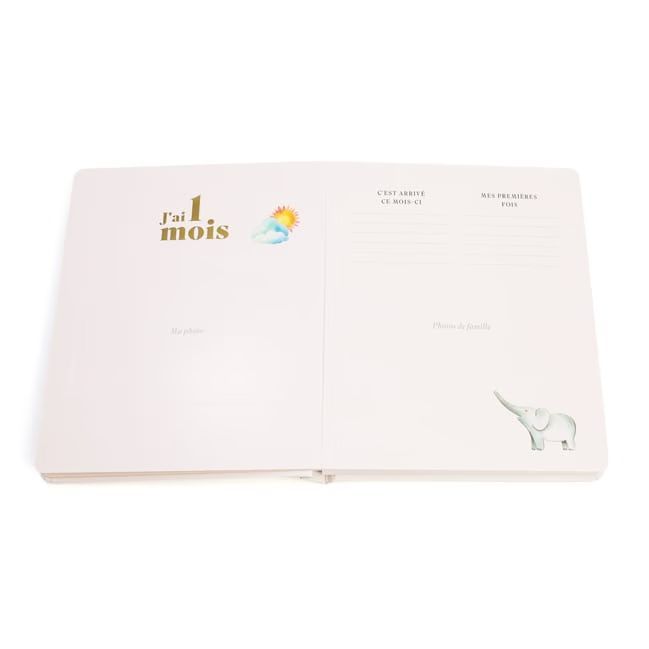 L'album de ma première année (Éditions Larousse) - Image 2