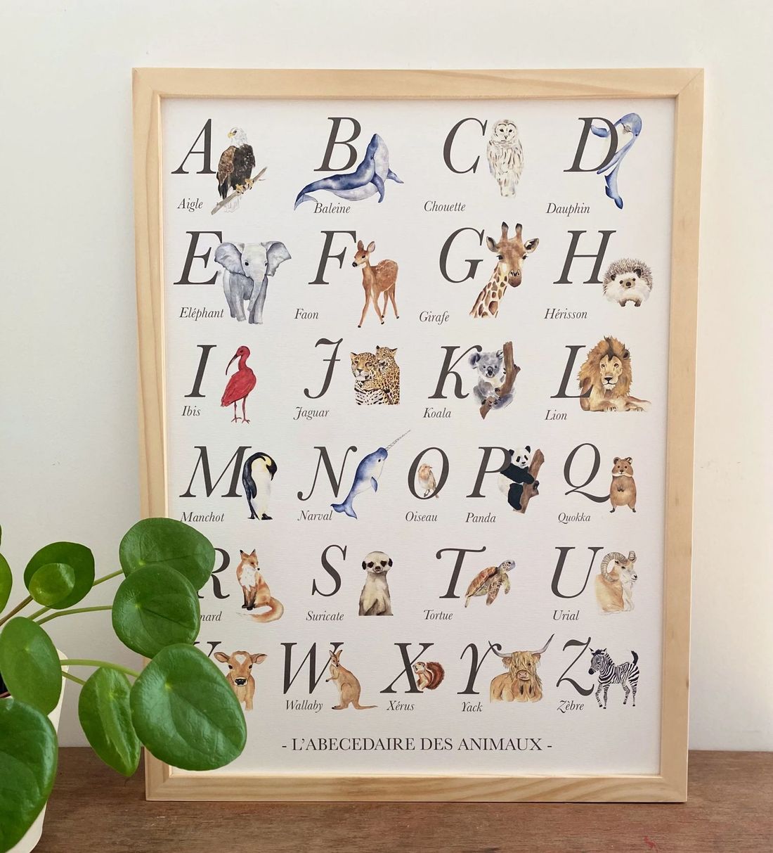 Abécédaire des animaux aquarelle, affiche éducative pour chambre bébé et enfant (Les Aquarelles de Marlène) - Image 2