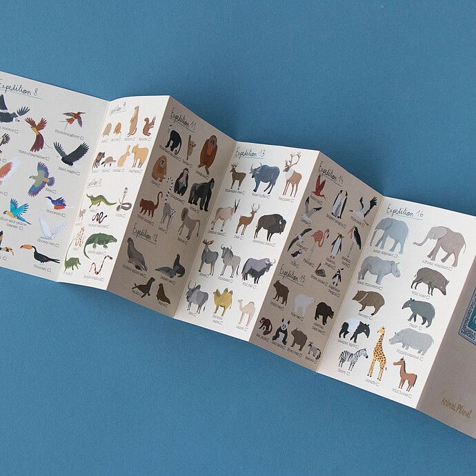 Cherche et Trouve - Animal Planet (Londji) - Image 5