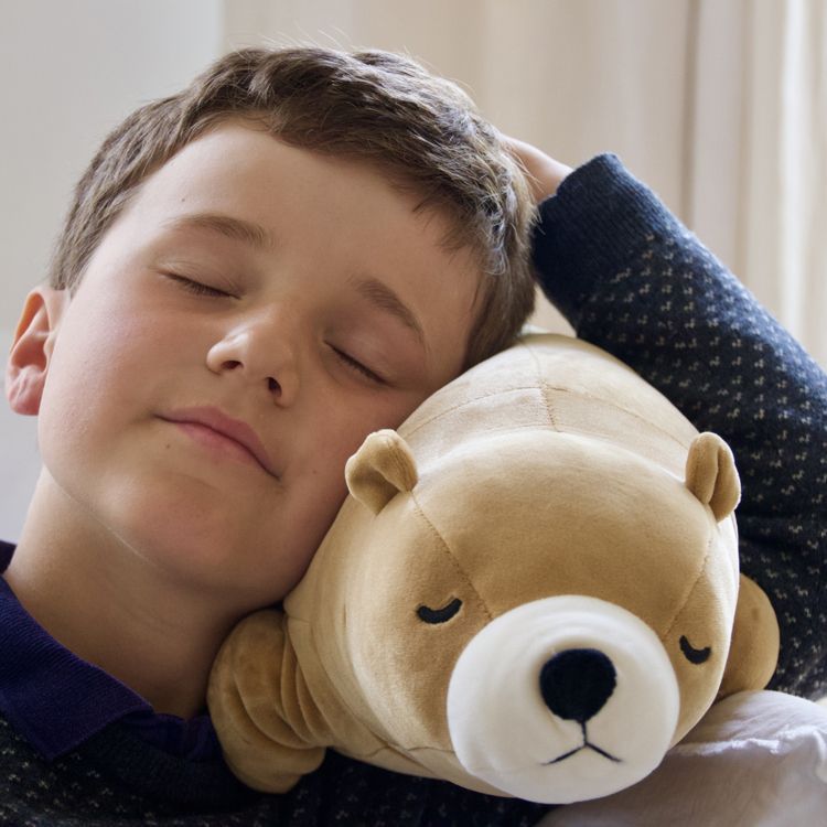 Grande peluche Nemu Nemu Cookie Ours brun (53 cm) (Nemu Nemu) - Image 1