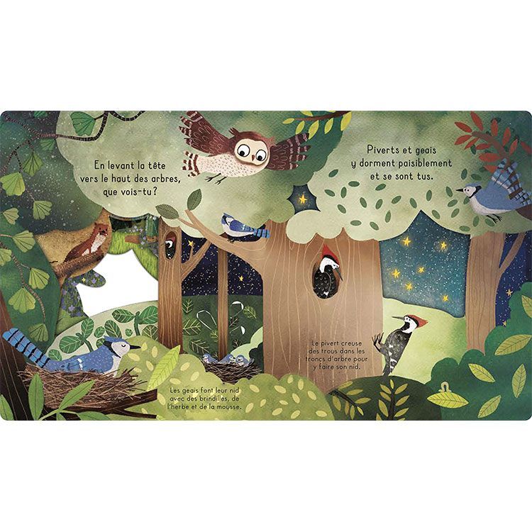 Livre Bonne nuit, la forêt ! (Editions Kimane) - Image 7