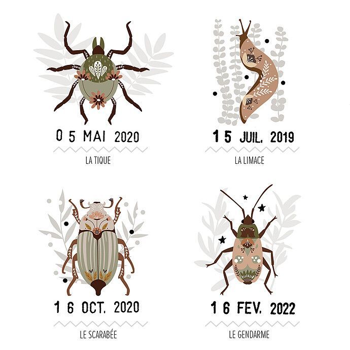 Affiche Les Petites Bêtes du Jardin - 50 x 40 cm (Les Petites Dates) - Image 3