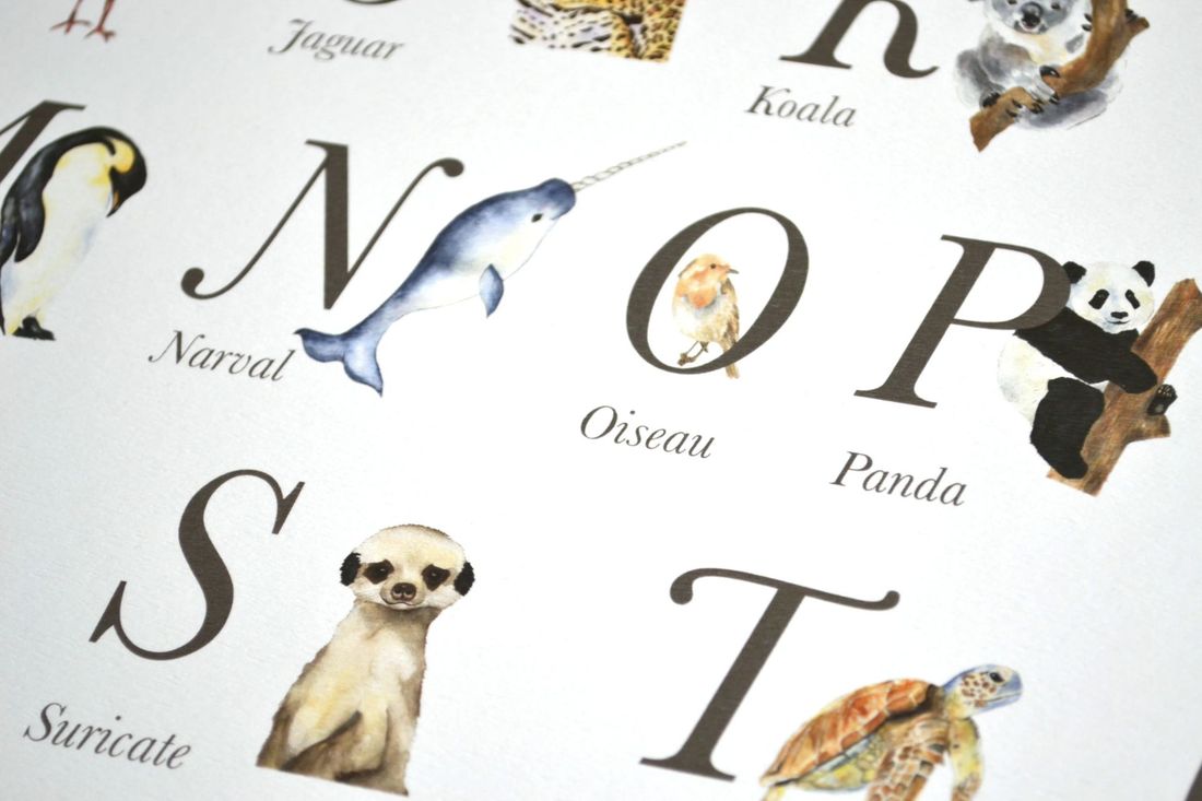 Abécédaire des animaux aquarelle, affiche éducative pour chambre bébé et enfant (Les Aquarelles de Marlène) - Image 8