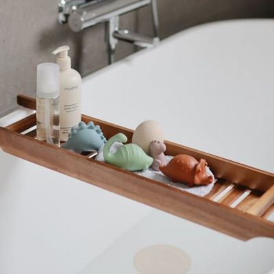 Lot de 4 jouets de bain Dino (Mushie) - Image 3