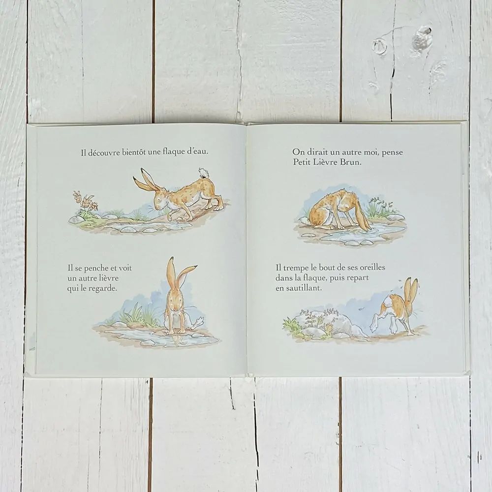 Livre Veux-tu être mon ami (Petit Picotin) - Image 4