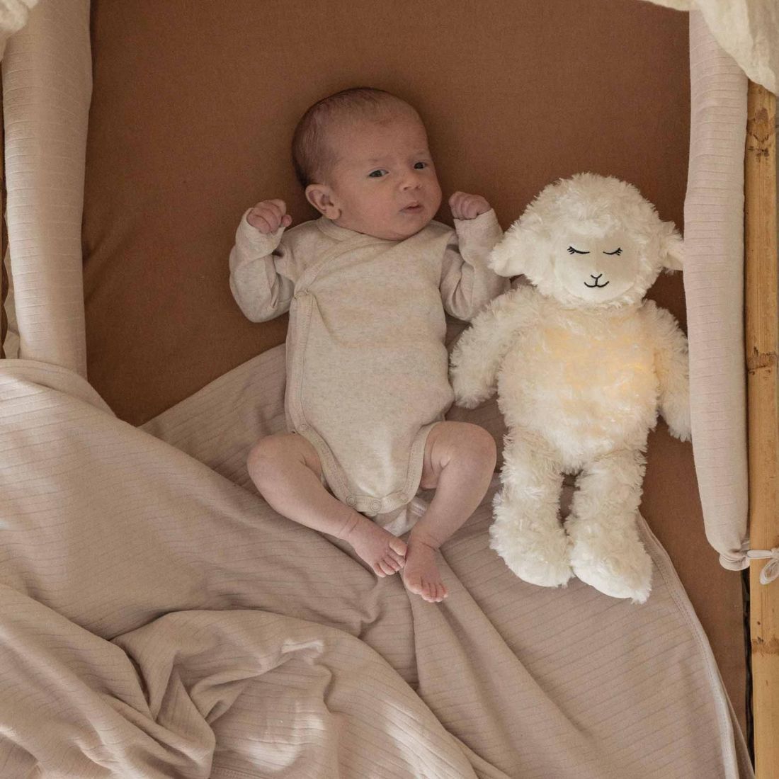 Lot de 2 bodies Ourson (1 mois) (Trois Kilos Sept) - Image 4