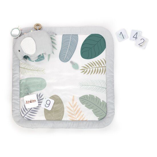 Tapis d'éveil avec cartes étapes (Ingenuity) - Couverture