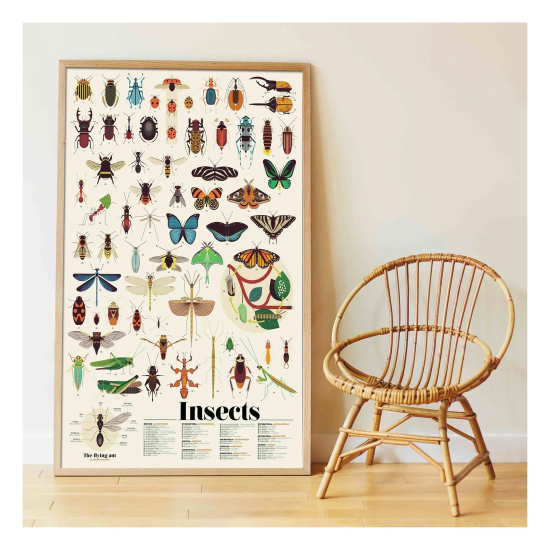 Poppik - Poster sticker Les Insectes (Poppik) - Image 2