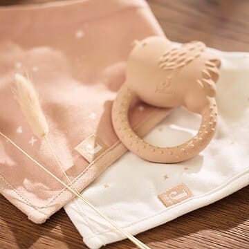 Anneau de Dentition Lovely Birds - Wild Rose (Jollein) - Couverture