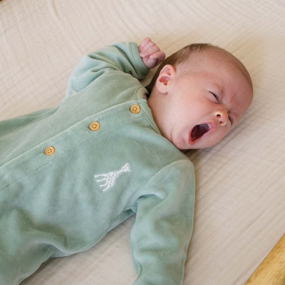 Pyjama en velours olive Sophie la girafe (3 mois) (Trois Kilos Sept) - Couverture