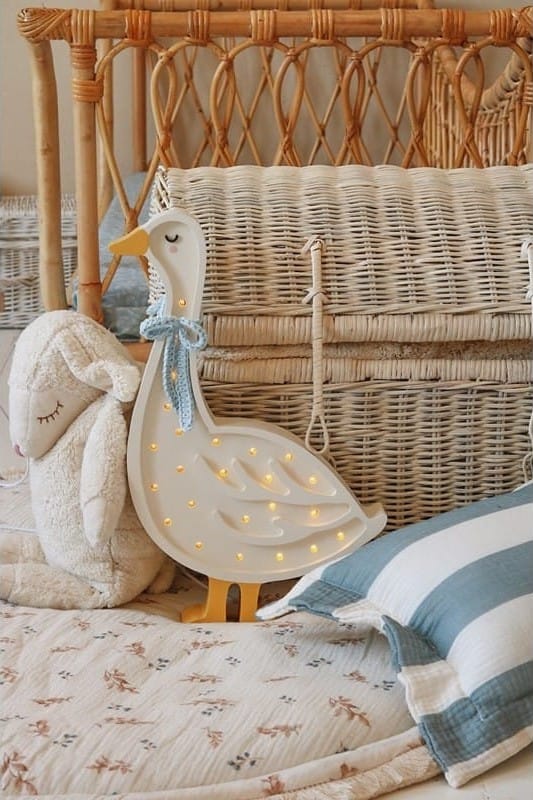 Lampe veilleuse oie (Little Lights) - Couverture